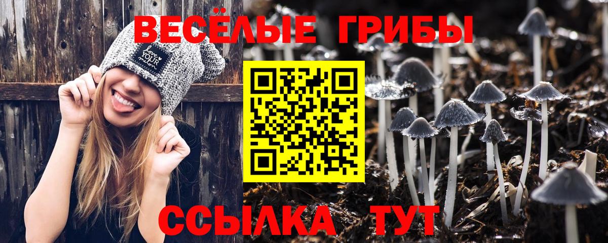 Галлюциногенные грибы Magic Shrooms Щёлково